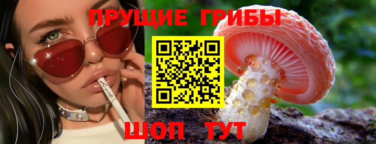 Галлюциногенные грибы MAGIC MUSHROOMS  Вход с VPN  Черняховск 